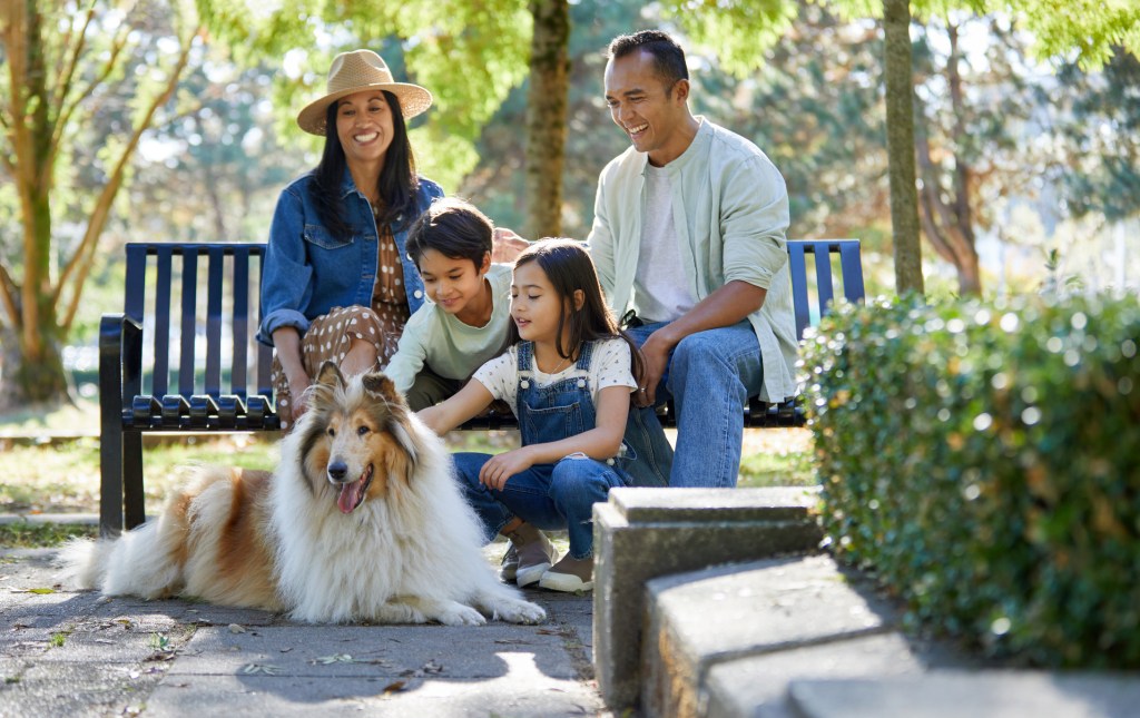 Familia asiática con perro de raza Collie o Lassie en el parque.