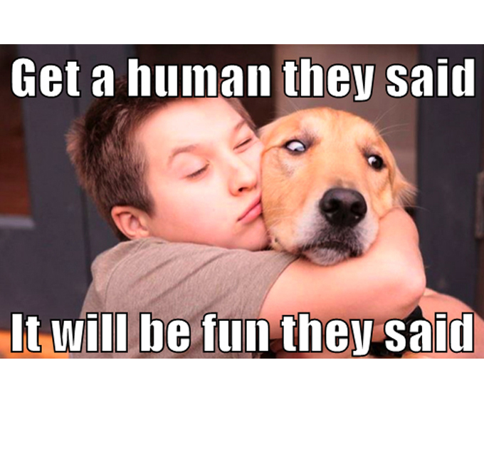 45 Смешни мемове за кучета 2 #22