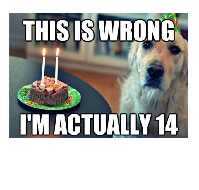 45 Смешни мемове за кучета 2 #45
