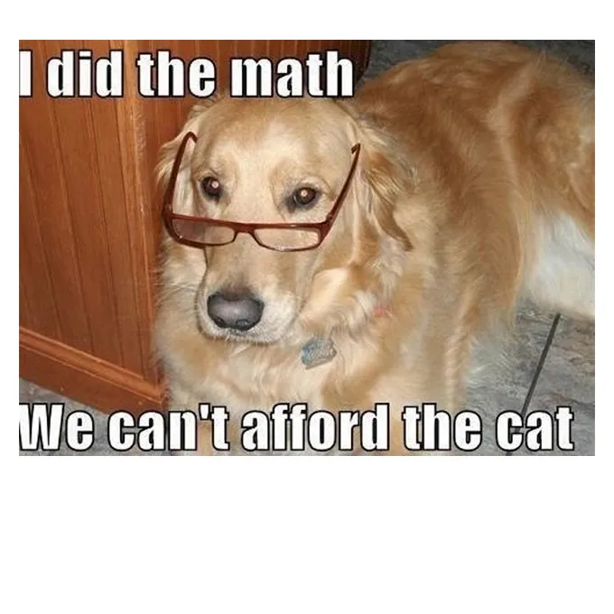 45 Смешни мемове за кучета 2 #7