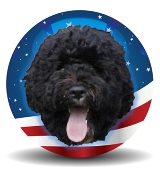 مدونة بو أوباما الكلب