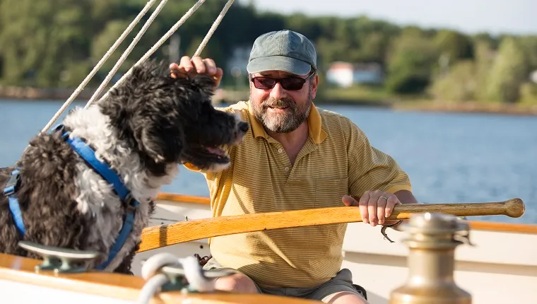 Omul și câinele său pe o barcă cu pânze