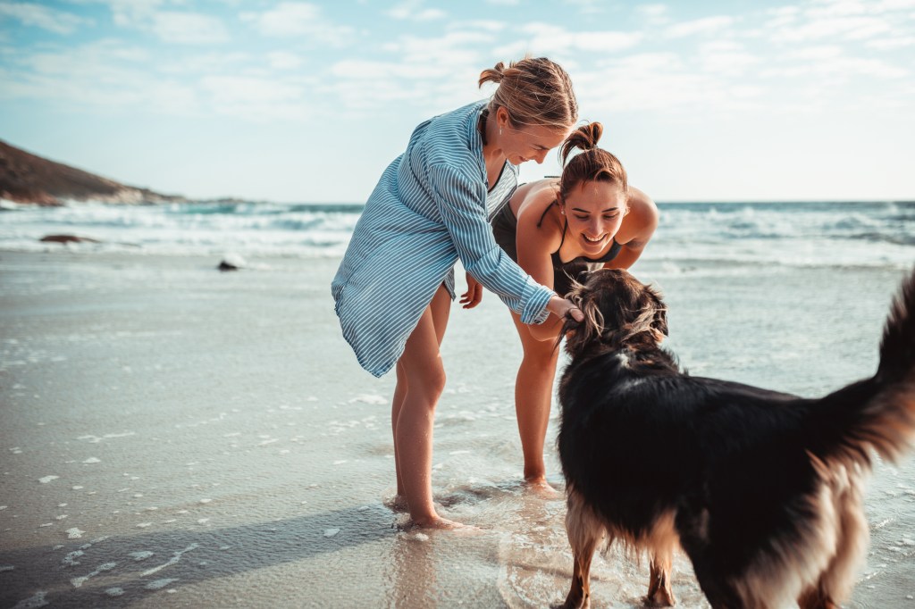 Zwei junge Frauen spielen mit ihrem Hund am Strand