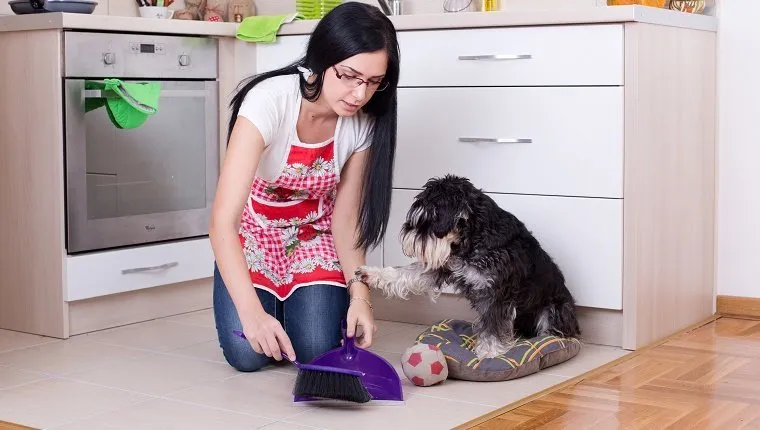 Fiatal nő térdelve guggol, miközben a kutyája után takarít a konyhában