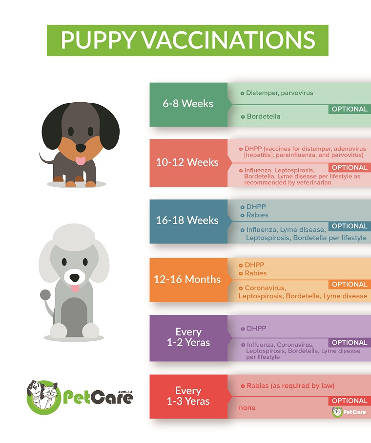 график за ваксинация на кученца и кучета