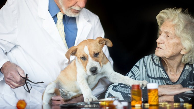 La terapia con mascotas tiene un impacto asombroso en la calidad de vida de una anciana en una residencia asistida