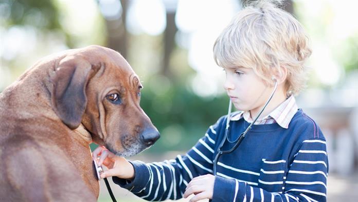 Junge, der Stethoskop auf Haustierhund benutzt