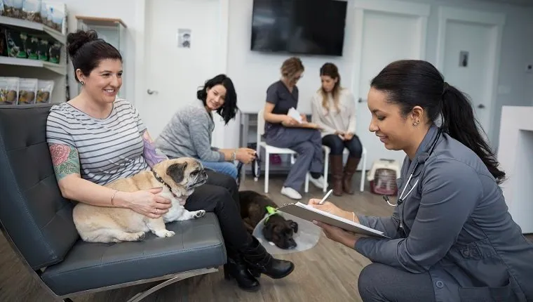 Medic veterinar vorbind cu o femeie cu un câine în holul clinicii de câini
