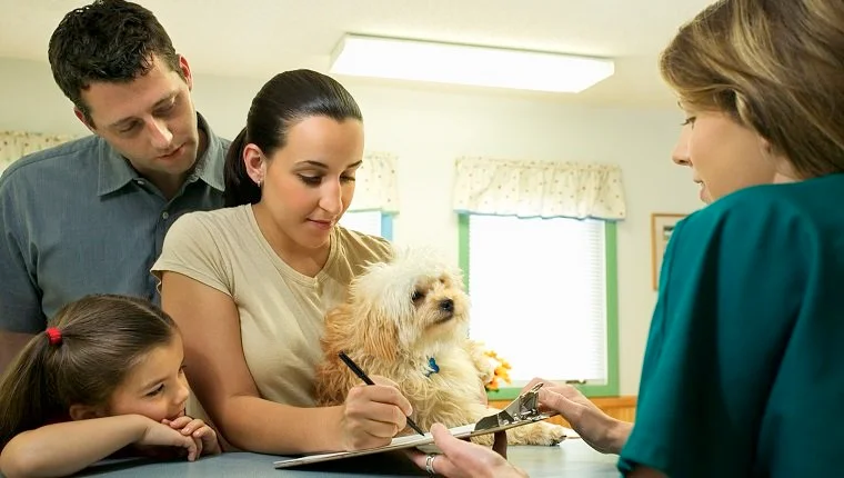 عائلة مع الكلاب تملأ الأوراق في عيادة الطبيب البيطري