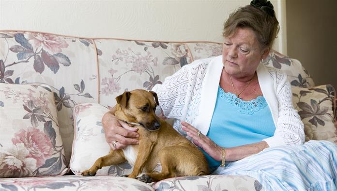 Egy boldogtalan lelkiállapotú idősebb nő vigasztalást keres háziállatában.