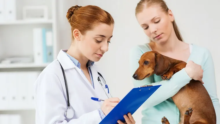 Концепция за медицина, грижи за домашни любимци и хора - жена, която държи куче дакел, и ветеринарен лекар с клипборд, който води записки във ветеринарна клиника