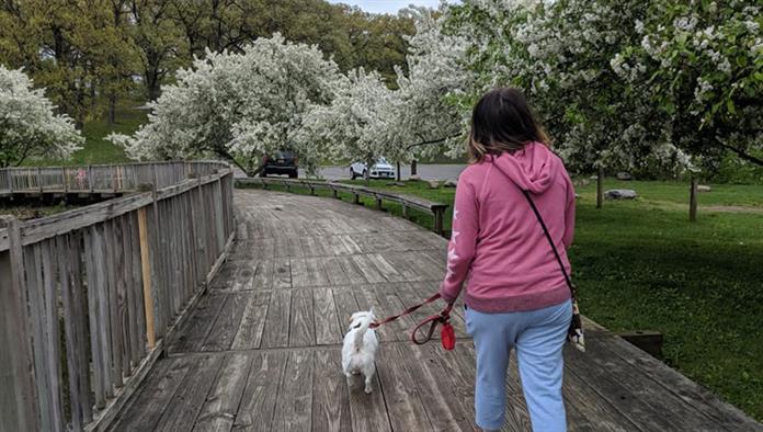 nő séta kutya fa ösvényen