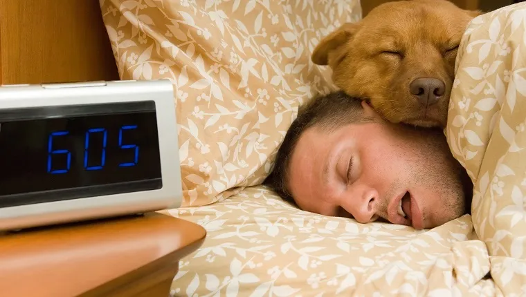 رجل وكلبه ينامون بشكل مريح.