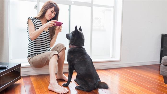 Eine Frau macht mit ihrem Handy ein Foto von einem schwarzen Hund.