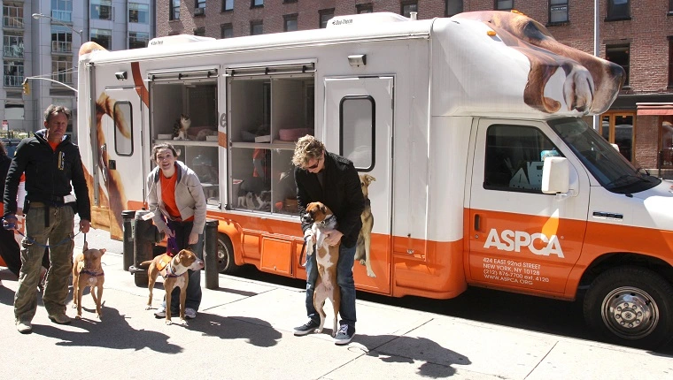 مدينة نيويورك ، نيويورك - 5 أبريل: يحضر موظفو ASPCA مضيف آدم و ASPCA ، آدم يحب الكلاب في آدم في 5 أبريل 2008 في مدينة نيويورك. (تصوير جيمي سيليست/باتريك ماكمالان عبر غيتي إيمايز)