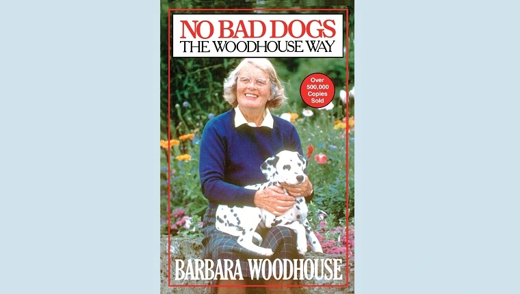 لا توجد كلاب سيئة: طريق الخشب