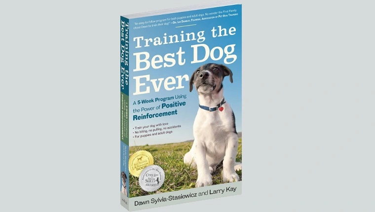 تدريب أفضل كلب على الإطلاق