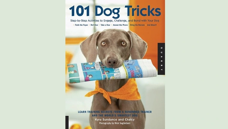 101 حيل الكلاب: خطوة بخطوة للانخراط والتحدي والربط مع كلبك