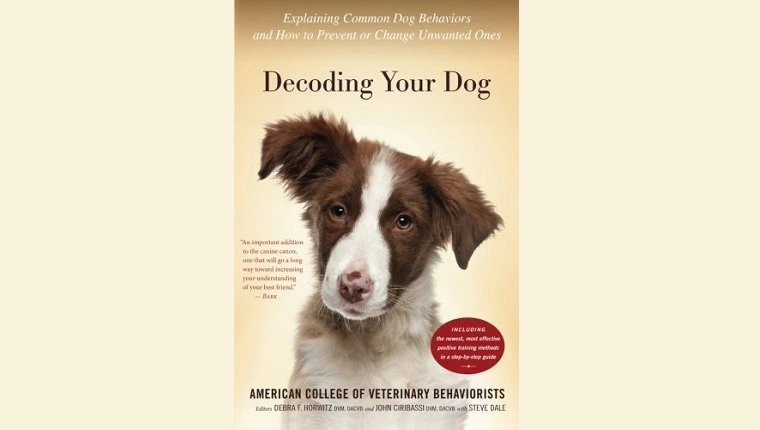 فك تشفير الكلب الخاص بك: شرح سلوكيات الكلاب الشائعة وكيفية منع أو تغيير السلوكيات غير المرغوب فيها