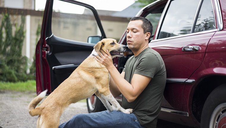 Мъж седи до колата и си играе с кучето