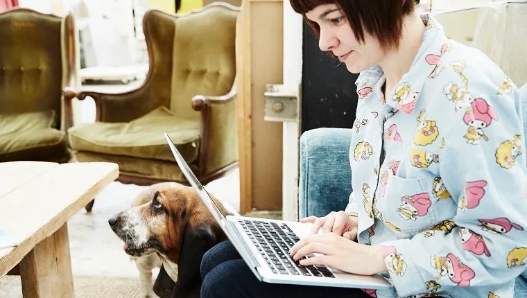 Fiatal nő laptopot használ, háttérben kutya