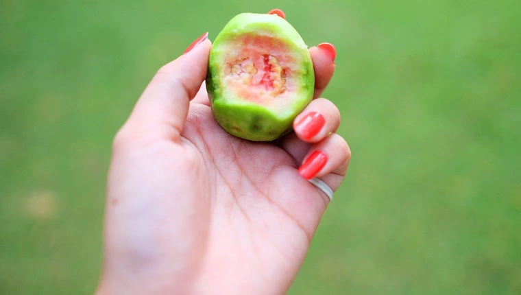 Ausgeschnittenes Bild einer Frau mit Guave