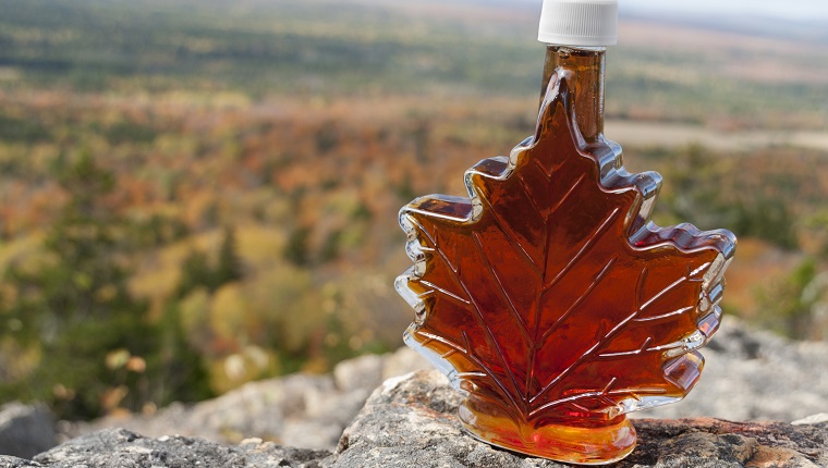 Eine Flasche Ahornsirup in einer Flasche in Form eines Ahornblatts mit Herbstlaub aus Neuengland im Hintergrund.