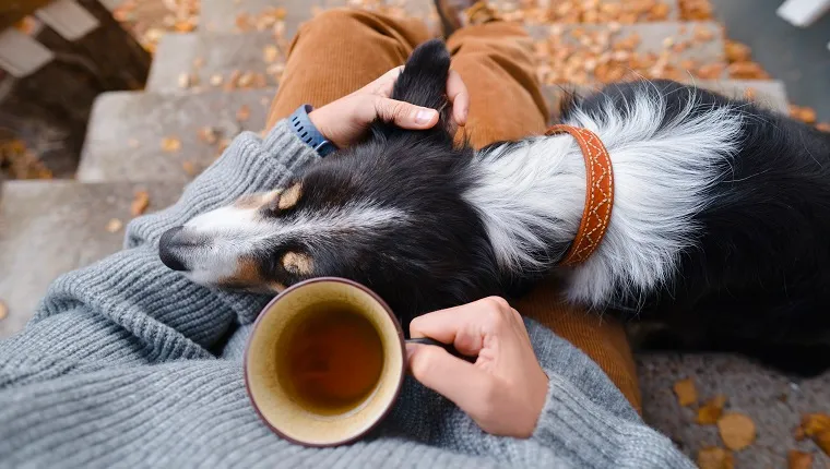 شخص وكلب يجلس في الخارج على النجوم مع كوب من الشاي.