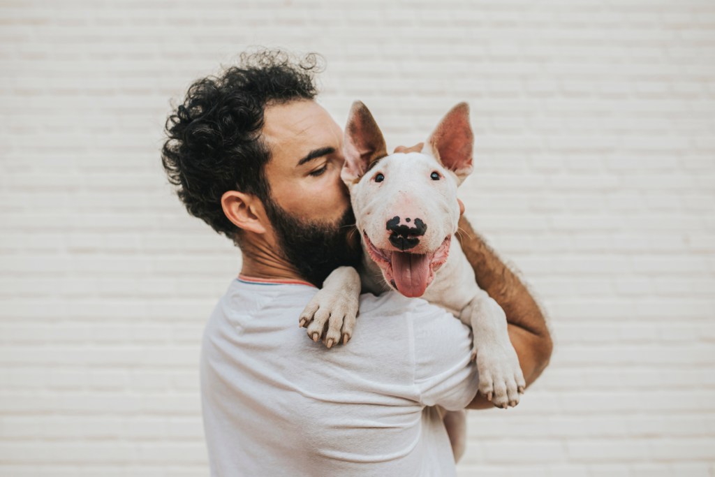 Un hombre con barba sostiene una mezcla de Bull Terrier sobre su hombro, besando la mejilla del cachorro.