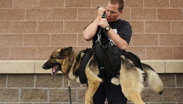 K9TRAINING28 - Todd Moody, Boulder megyéből, Rocky kutyájával kipróbálta kutyájának kábelkötegét a Westwood 7. számú tűzoltóállomás előtt. A coloradói rendőrségi kutyaszövetség tagjai képzési szemináriumot szerveznek Lakewoodban, ahol több tucat speciálisan kiképzett kutya repülési gyakorlatokat hajt végre, és a terepmunka során kedvezőtlen körülményeknek van kitéve. RJ Sangosti / The Denver Post (Fotó: RJ Sangosti / The Denver Post a Getty Images-en keresztül)