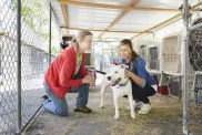 Femeie care încearcă să se decidă dacă va adopta un câine de la un adăpost sau de la o organizație de salvare în picioare cu un cățeluș într-o cușcă