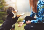 Mujer enseñando trucos a un perro