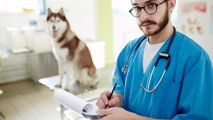 Azatioprina para perros: usos, dosis y efectos secundarios