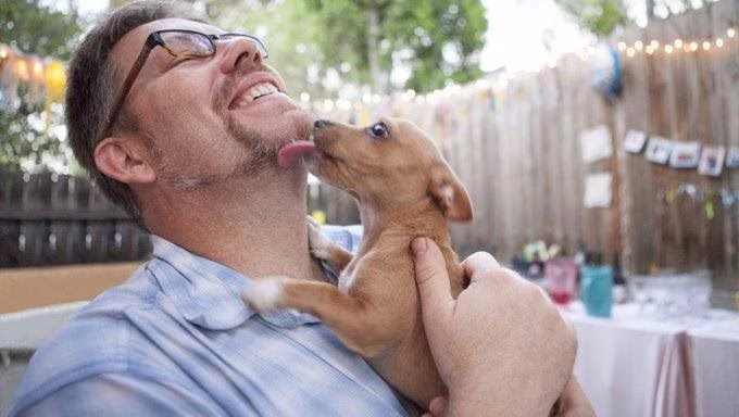 Der Einzug eines neuen Hundes: Vorbereitungen und erste Schritte