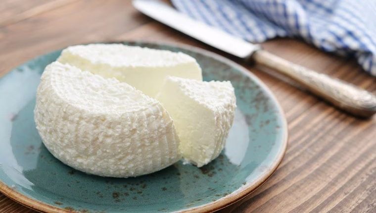 Können Hunde Ricotta-Käse essen? Ist Ricotta-Käse sicher für Hunde?