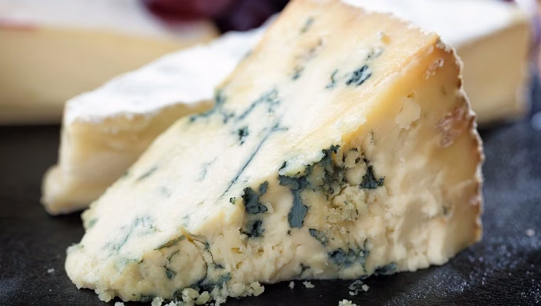 Können Hunde Blauschimmelkäse fressen? Ist Blauschimmelkäse sicher für Hunde?