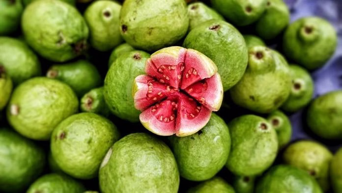 Können Hunde Guaven essen? Ist Guave sicher für Hunde?