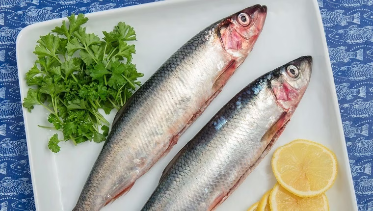 Ehetnek-e a kutyák heringet? Biztonságos-e a hering a kutyák számára?