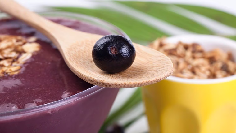 هل يمكن للكلاب أن تأكل التوت acai؟ هل التوت Acai آمن للكلاب؟