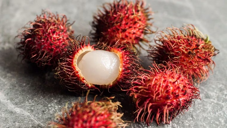 Ehetnek-e a kutyák rambutánt? Biztonságos a kutyák számára a rambután?