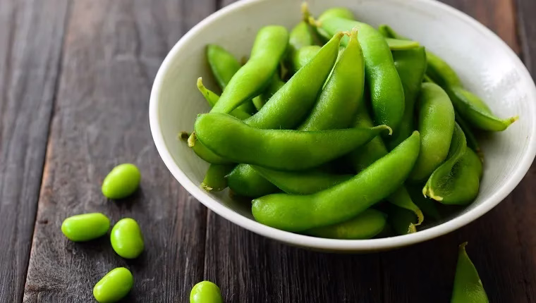 Ehetnek-e a kutyák edamame-ot? Biztonságos az edamame a kutyák számára?