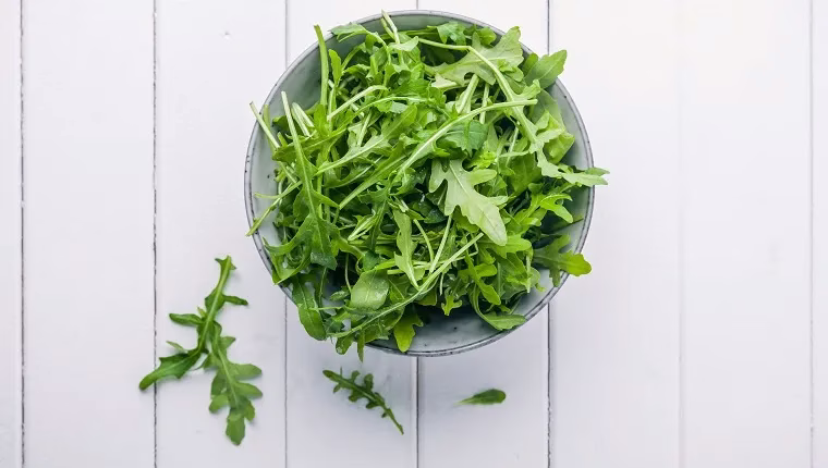 Können Hunde Rucola fressen? Ist Rucola sicher für Hunde?