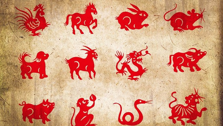 Kínai zodiákus 2018: A kutya éve és mit jelent