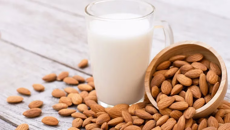 هل يمكن للكلاب أن تشرب حليب اللوز؟ هل حليب اللوز آمن للكلاب؟