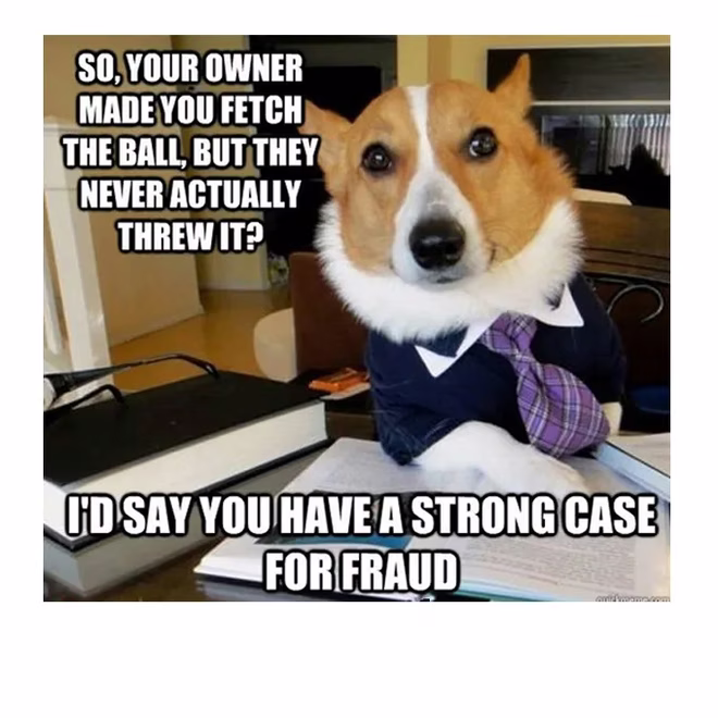 45 Lustige Hunde-Memes 2 #30