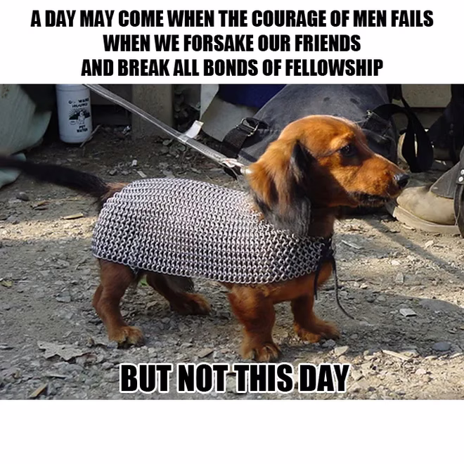 45 Lustige Hundememes 2 #35
