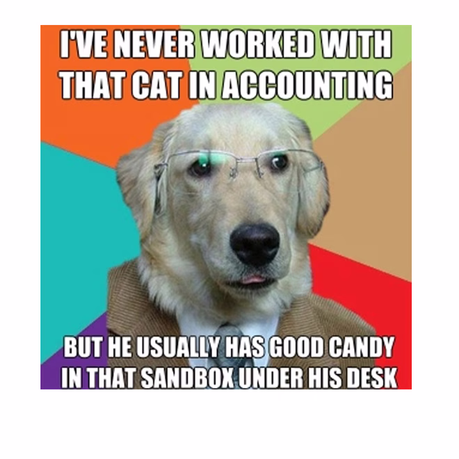 45 Lustige Hunde-Memes 2 #42