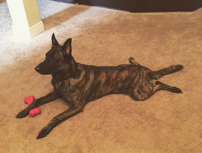 Splooting itt