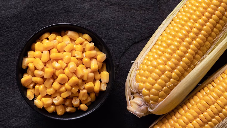 هل يمكن للكلاب أن تأكل ذرة حلوة؟ هل Sweetcorn آمن للكلاب؟