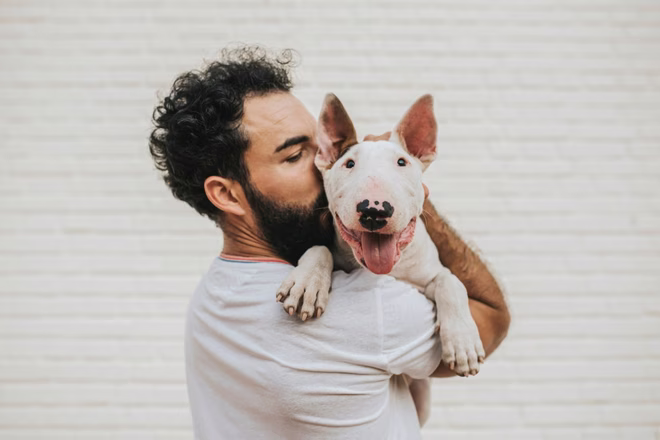 Ein bärtiger Mann hält einen Bullterrier-Mix über seine Schulter und küsst die Wange des Welpen.